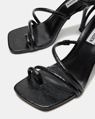 SHANTELLE BLACK - SM REBOOTED